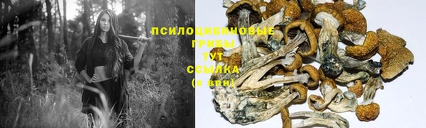 Альфа ПВП Медногорск