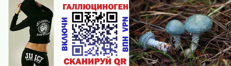 сколько стоит  Нижневартовск  Псилоцибиновые грибы MAGIC MUSHROOMS 